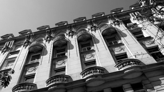 Belgrade, Serbia, Black