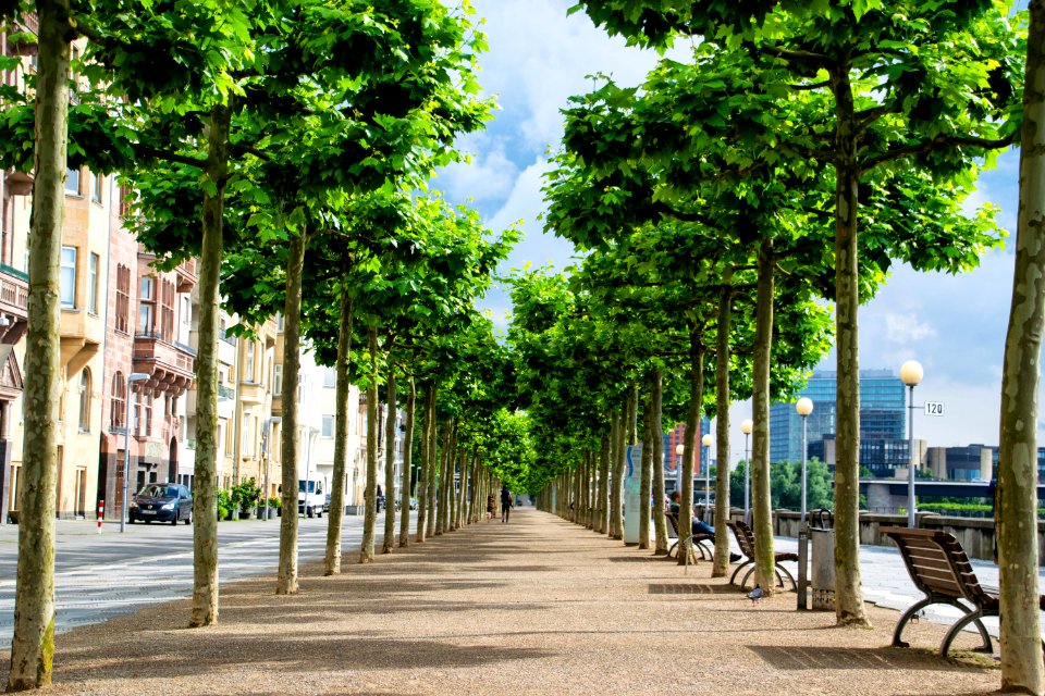 Dsseldorf, Germany, Cityscape