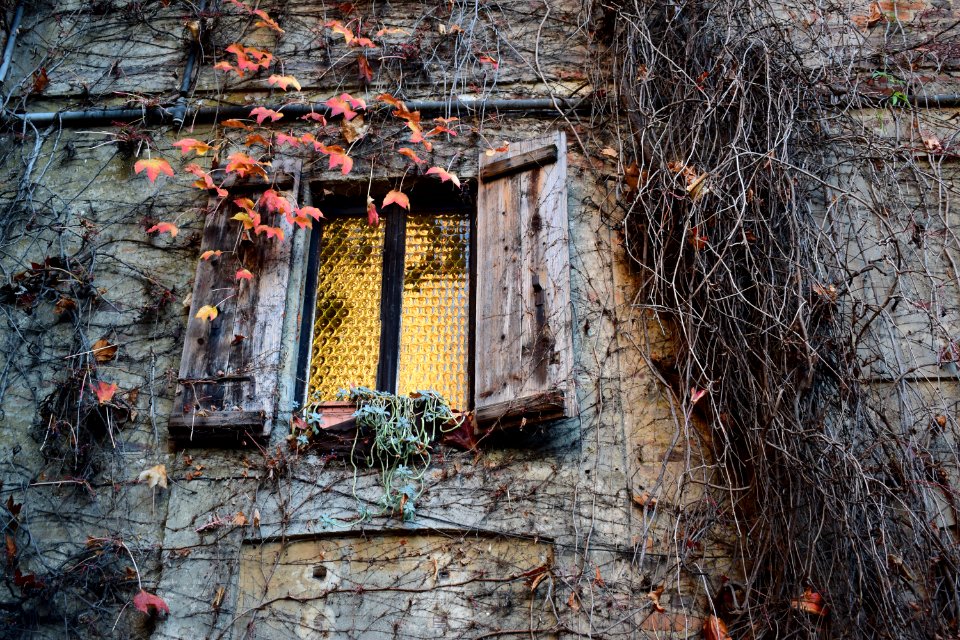 Italy, Autumn, Window