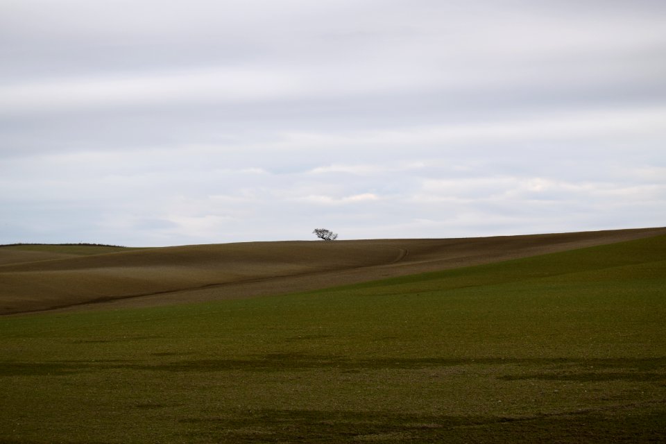 Rosignano marittimo, Italy, Minimalism