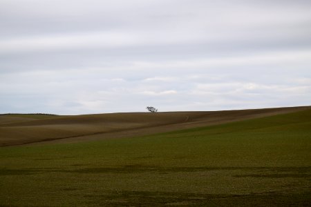 Rosignano marittimo, Italy, Minimalism