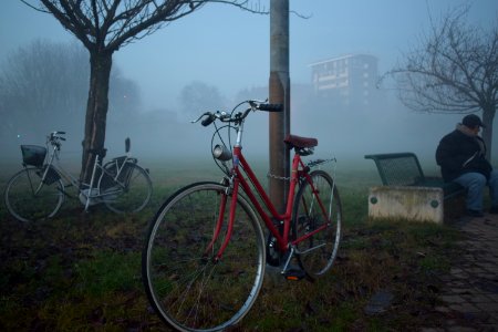 Bicycles parked by a tree, with a person sitting on a park bench. photo