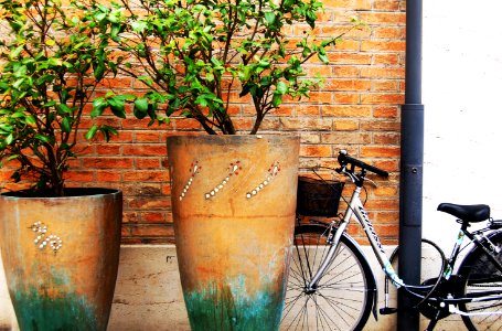 Bicycle, Bike, Wall photo