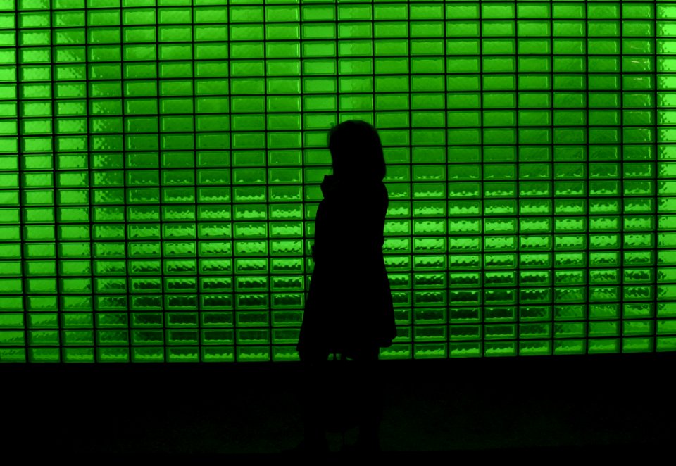 silhouette of person standing in front of green window blinds