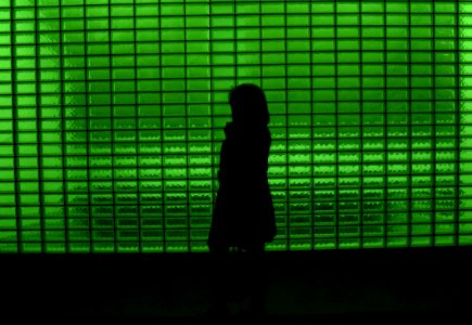 silhouette of person standing in front of green window blinds