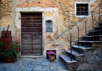 brown wooden door beside red flower photo