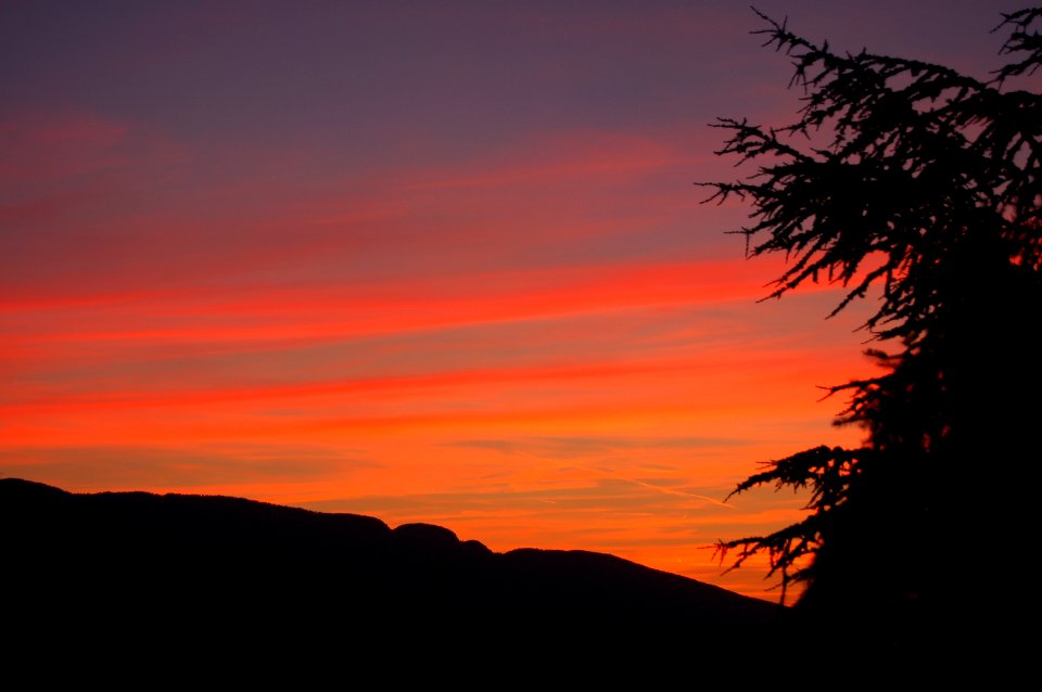 Silhouette, Red, Sunset