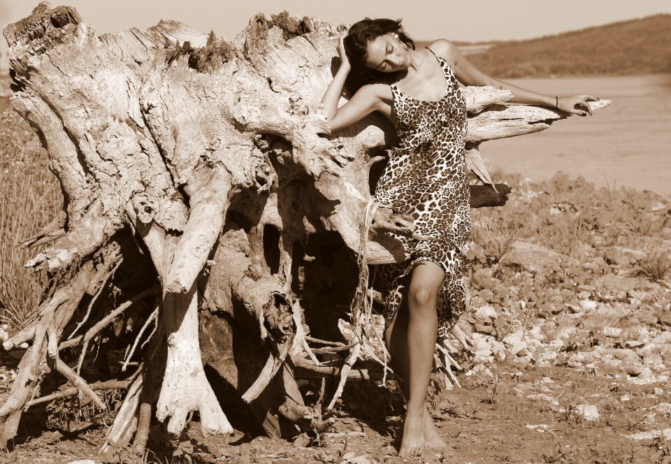 Water dress leopard