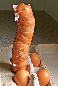 Broken eggs egg carton