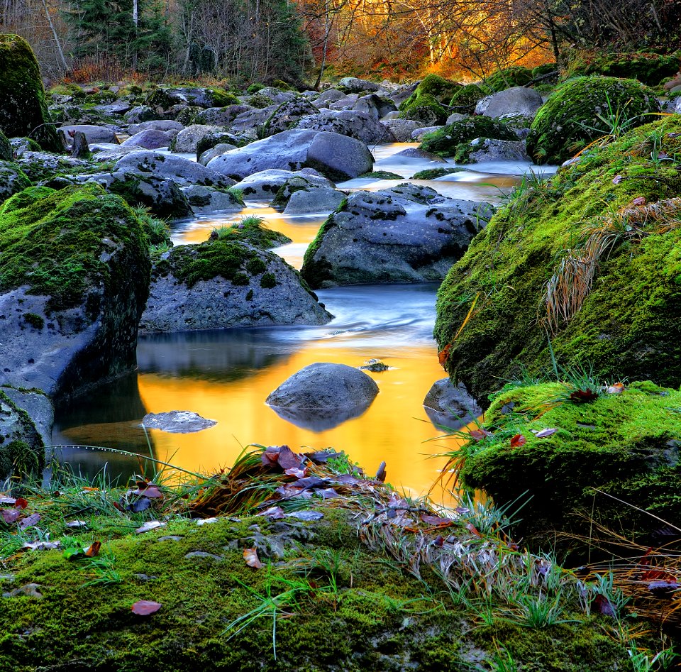 river surrounded by rocks