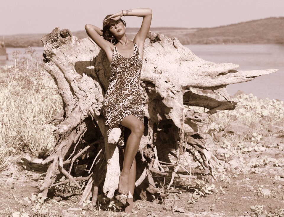 Water dress leopard