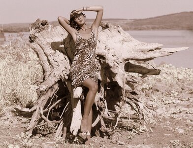 Water dress leopard