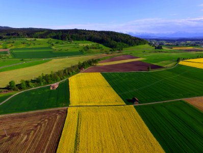 green and yellow field during daytime photo