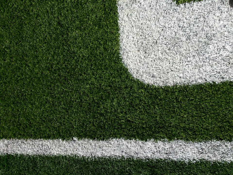 Turf, Merlin olsen field at maverik stadium, Logan