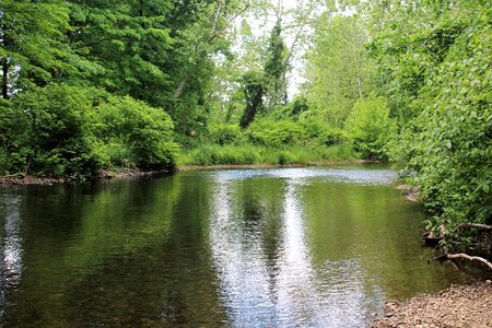 Water green river green peace