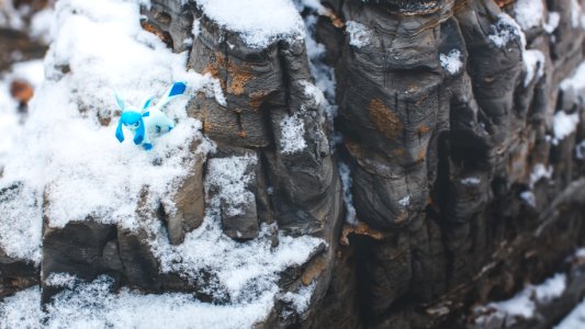 Pokemon, Snow, Doll photo