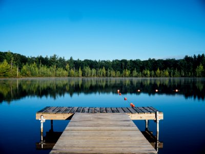 brown wooden dock near calm body of water surrounded by trees photo