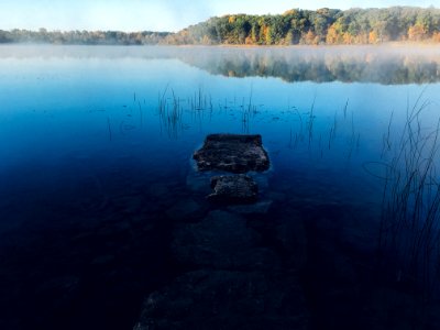 body of water near forest photo