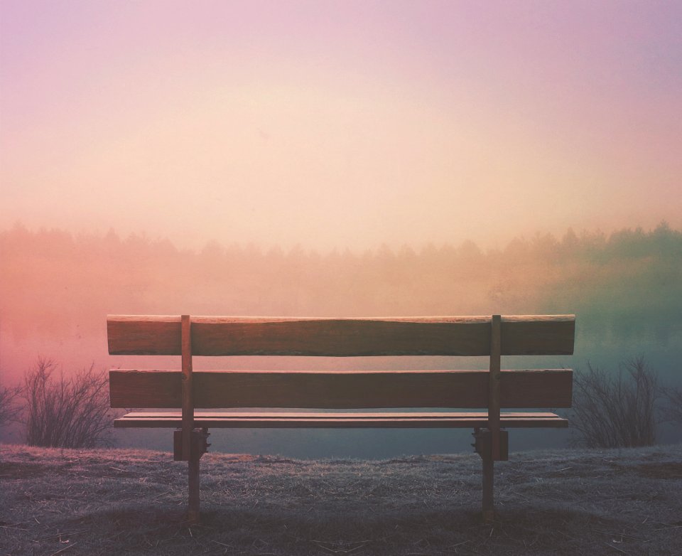 brown wooden bench in field
