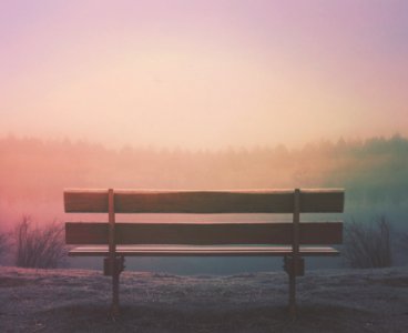 brown wooden bench in field