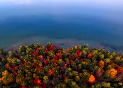 aerial view photography of forest near body of water photo