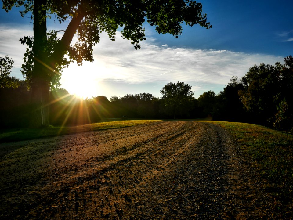 pathway between trees photo