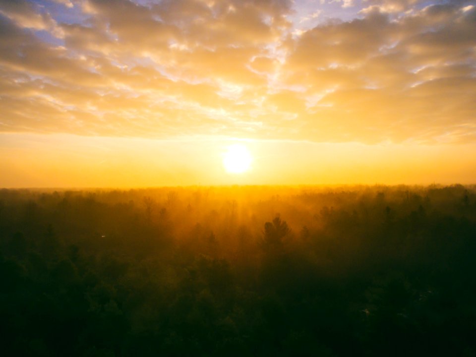 landscape photography of field during golden hour