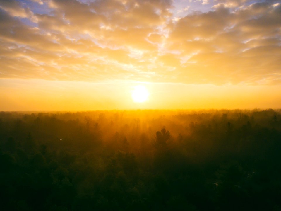 landscape photography of field during golden hour photo