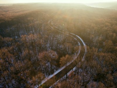 aerial view photography of road surrounded of trees photo