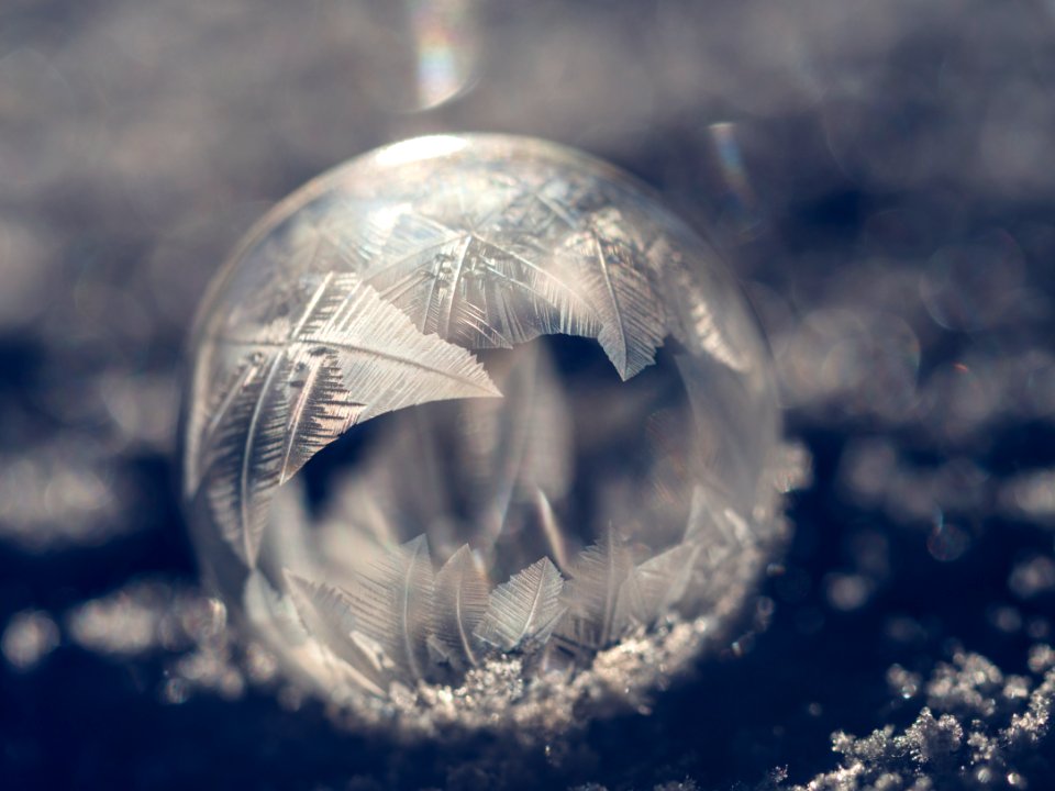 Grey, Winter, Christmas