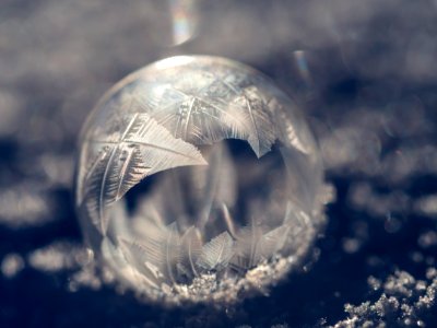 Grey, Winter, Christmas