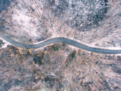 aerial photography of trees and road photo