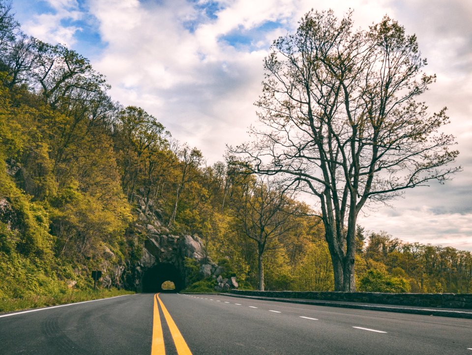 concrete road leading to a mountain tunnel covered in green trees during day