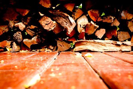 Firewood, Pile, Wood