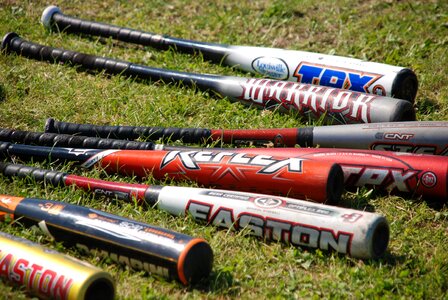 Bat store grass