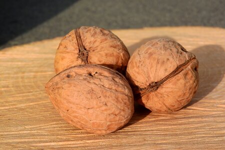 Walnuts shell walnut