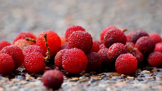 Healthy fruit sweet