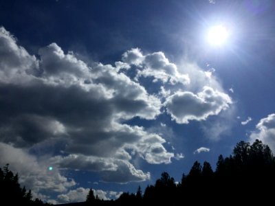 Forest, Sun, Clouds