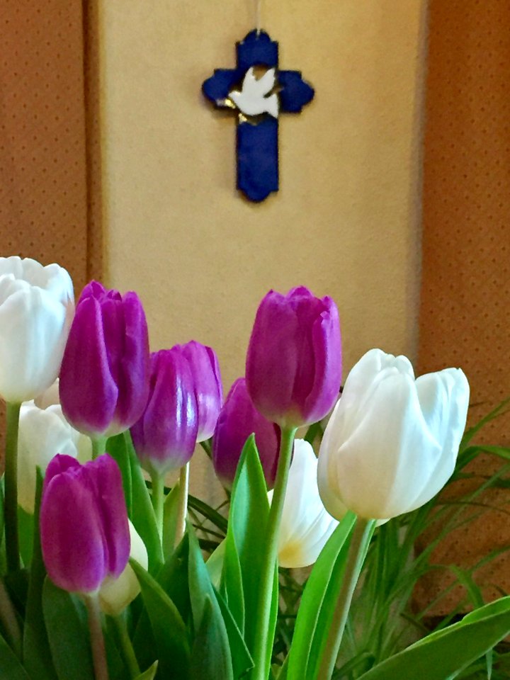 Believer, Cross, Faith