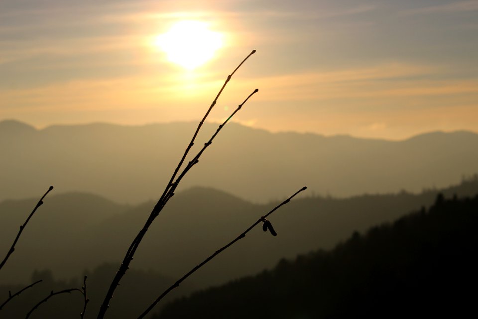 France, Goldbachaltenbach, Scape