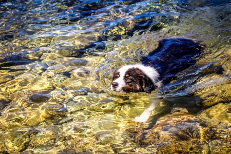 Sanary sur mer, France, Water photo