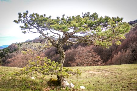 Barbi res, France, Mountain