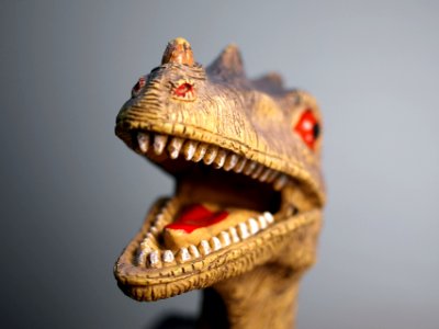 brown dinosaur toy photo