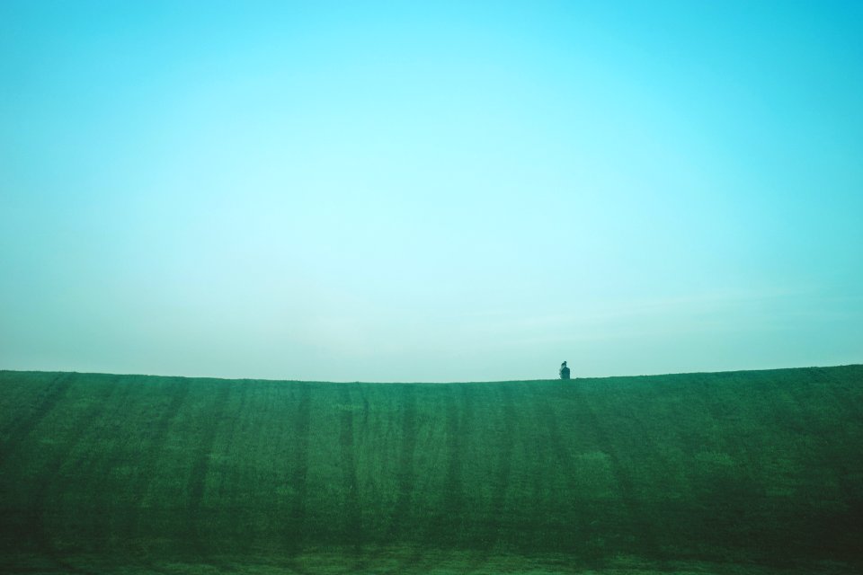 Grass, Foggy, Sunrise