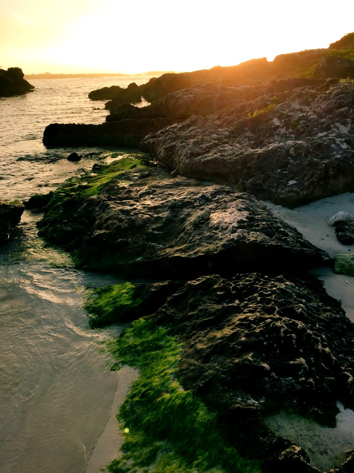 brown rocks beside ocean