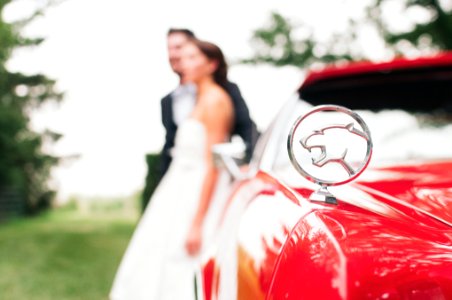 shallow focus photography of Jaguar car emblem photo