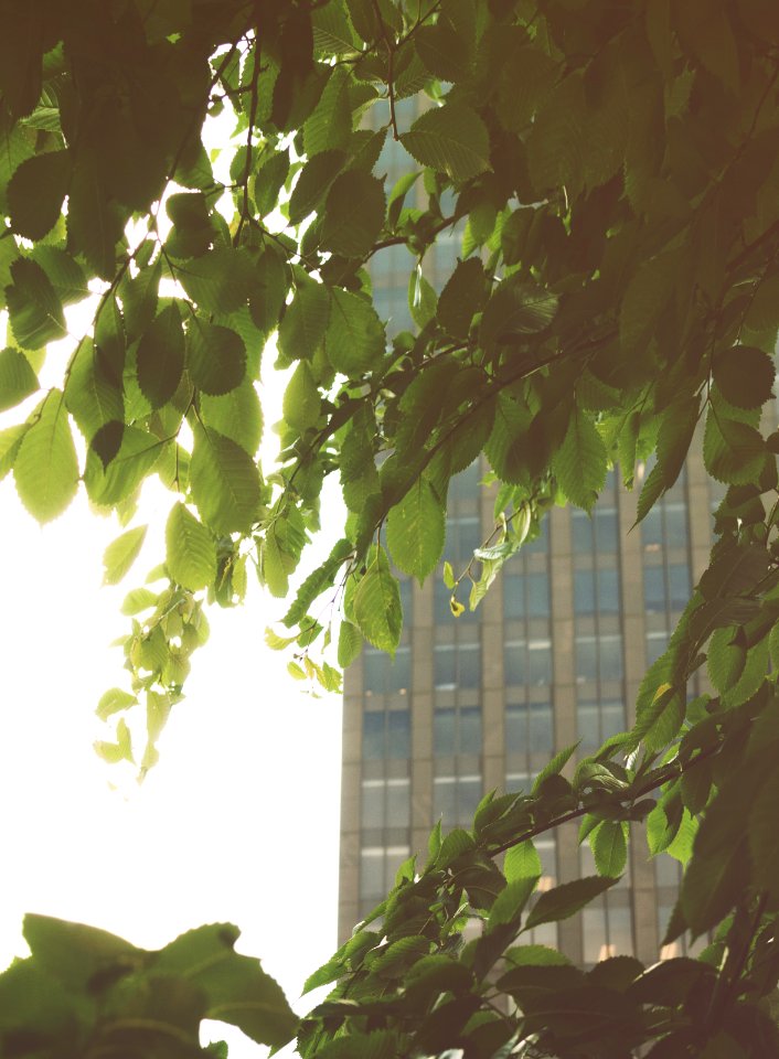 Montreal, Canada, Branch