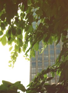 Montreal, Canada, Branch