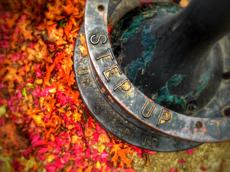 Nature, Fall, Leaves