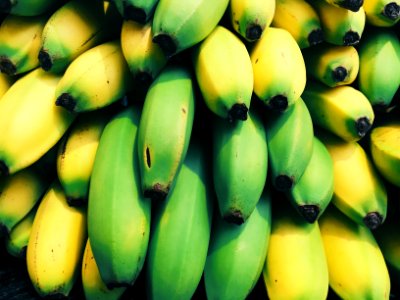 shallow focus photography of bananas photo